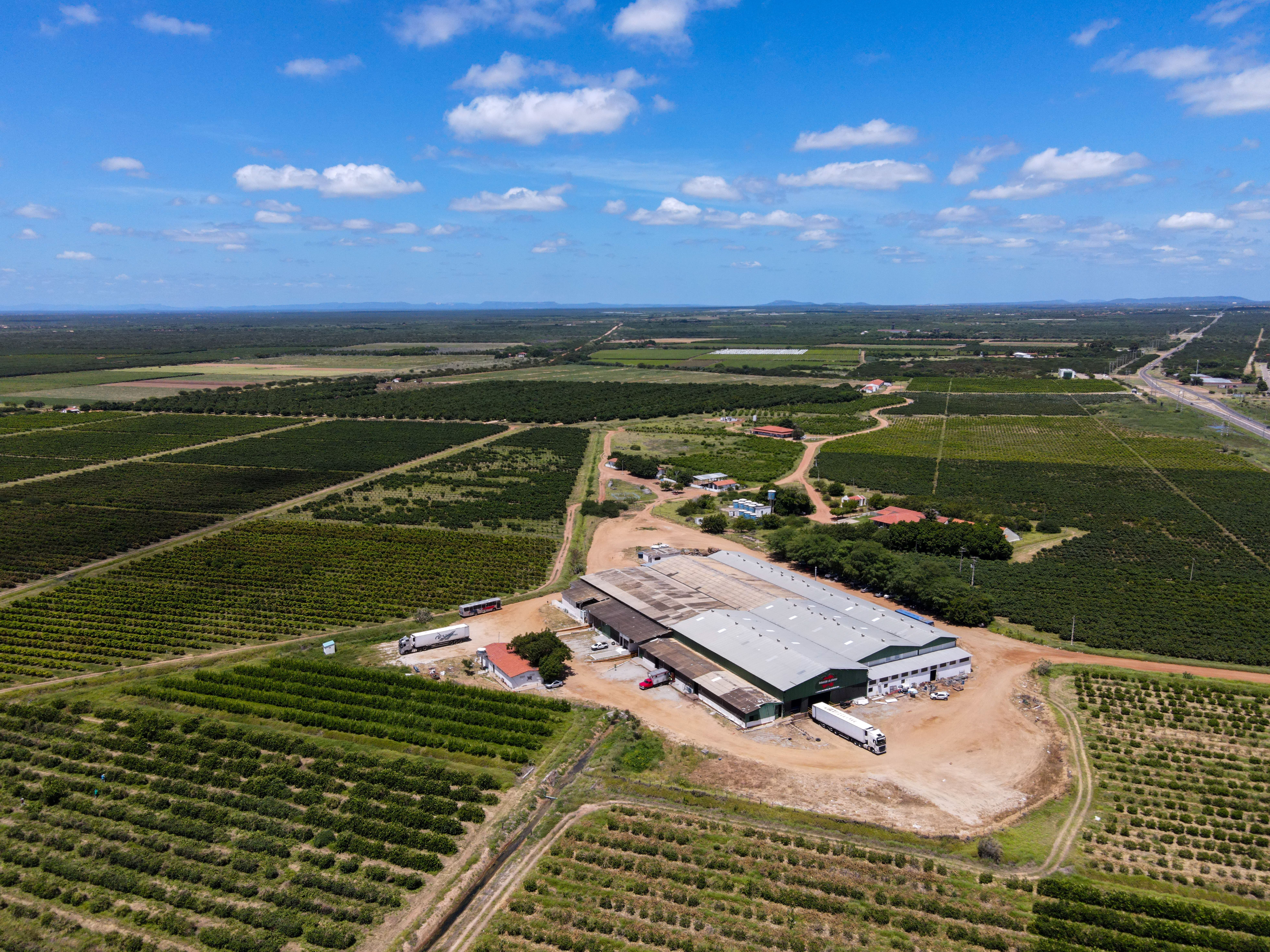 dji_fly_20250219_104804_912_1739973239150_photo