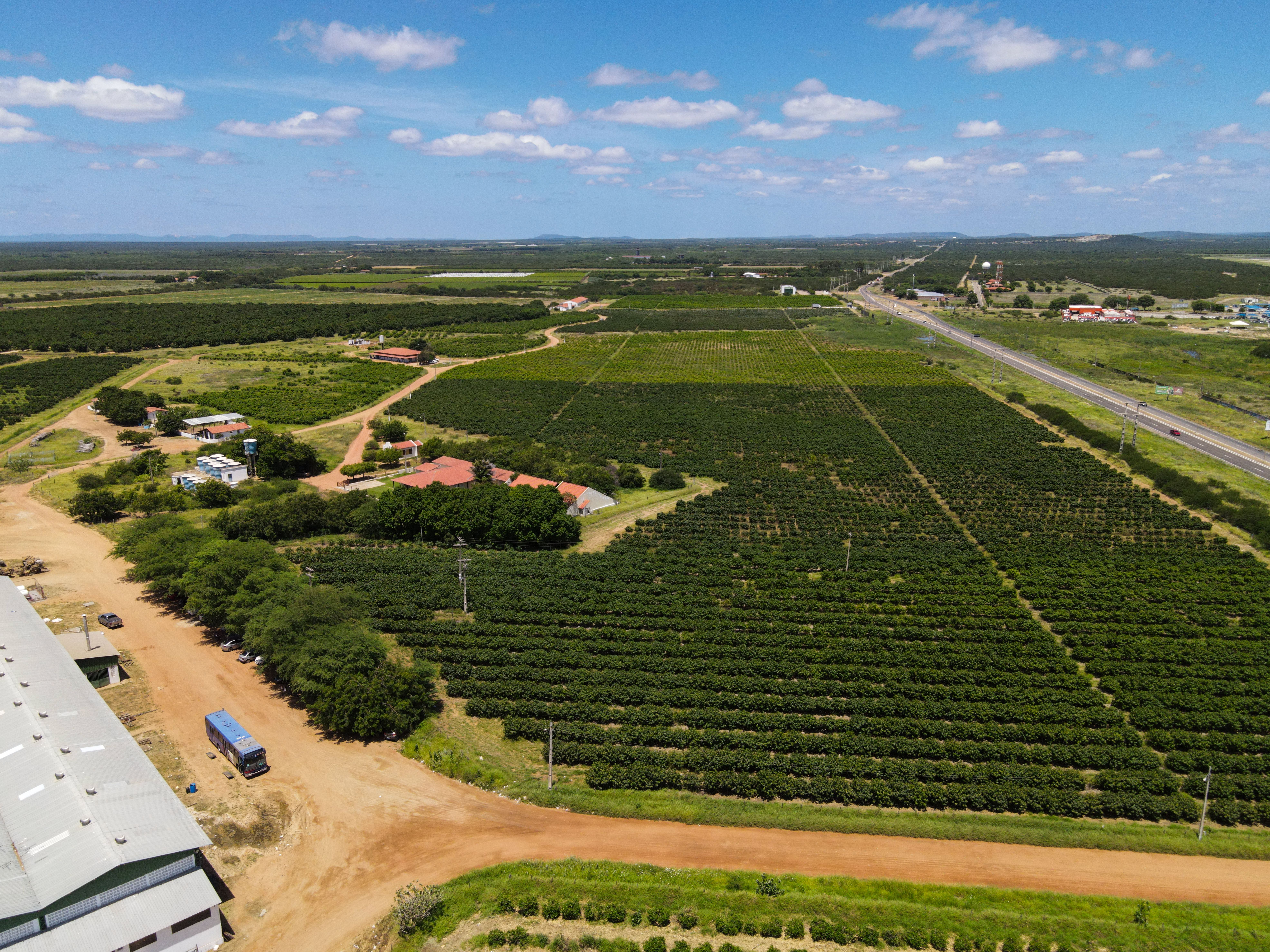 dji_fly_20250219_104942_916_1739973364253_photo