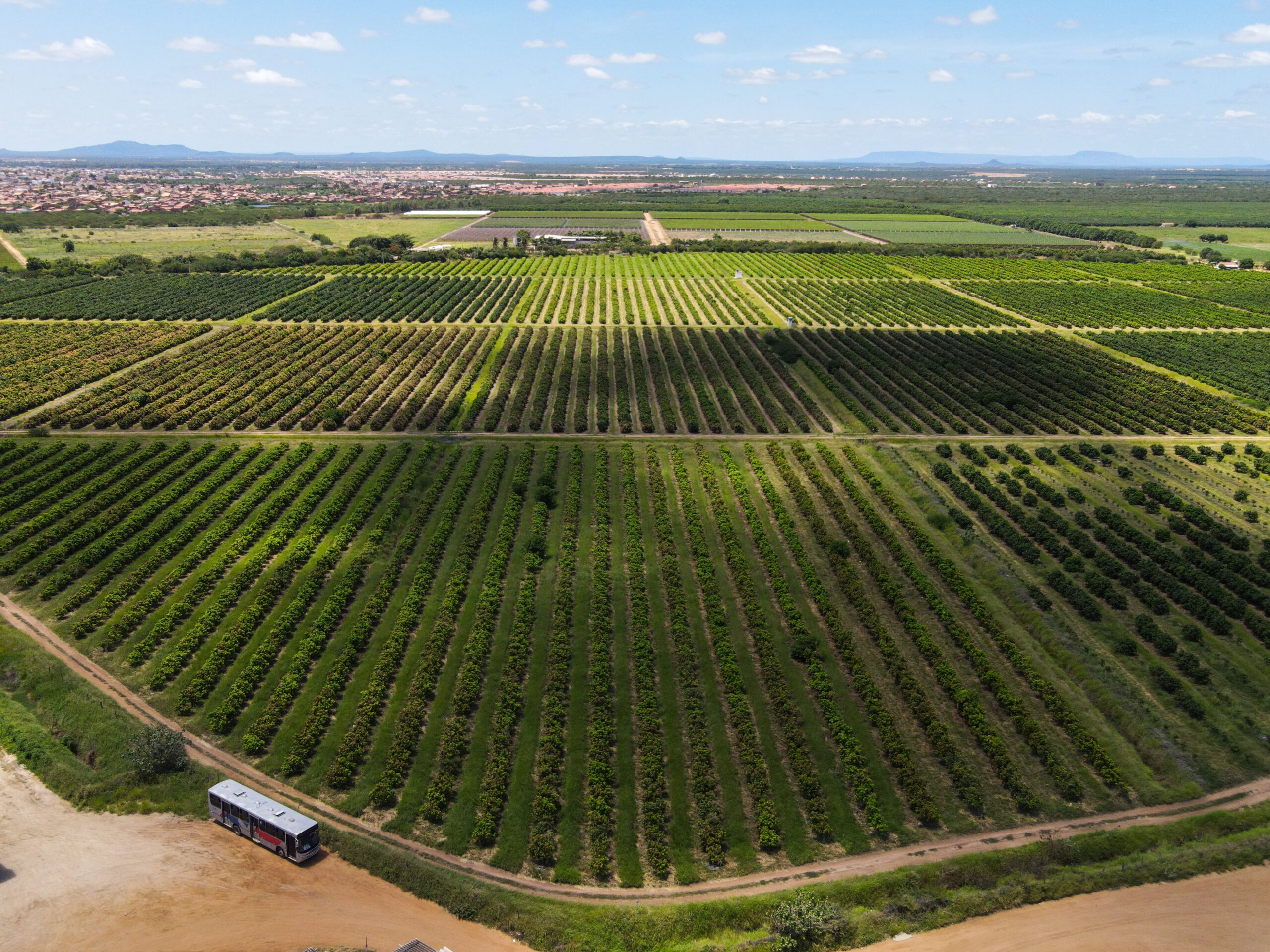 dji_fly_20250219_105020_917_1739973378843_photo
