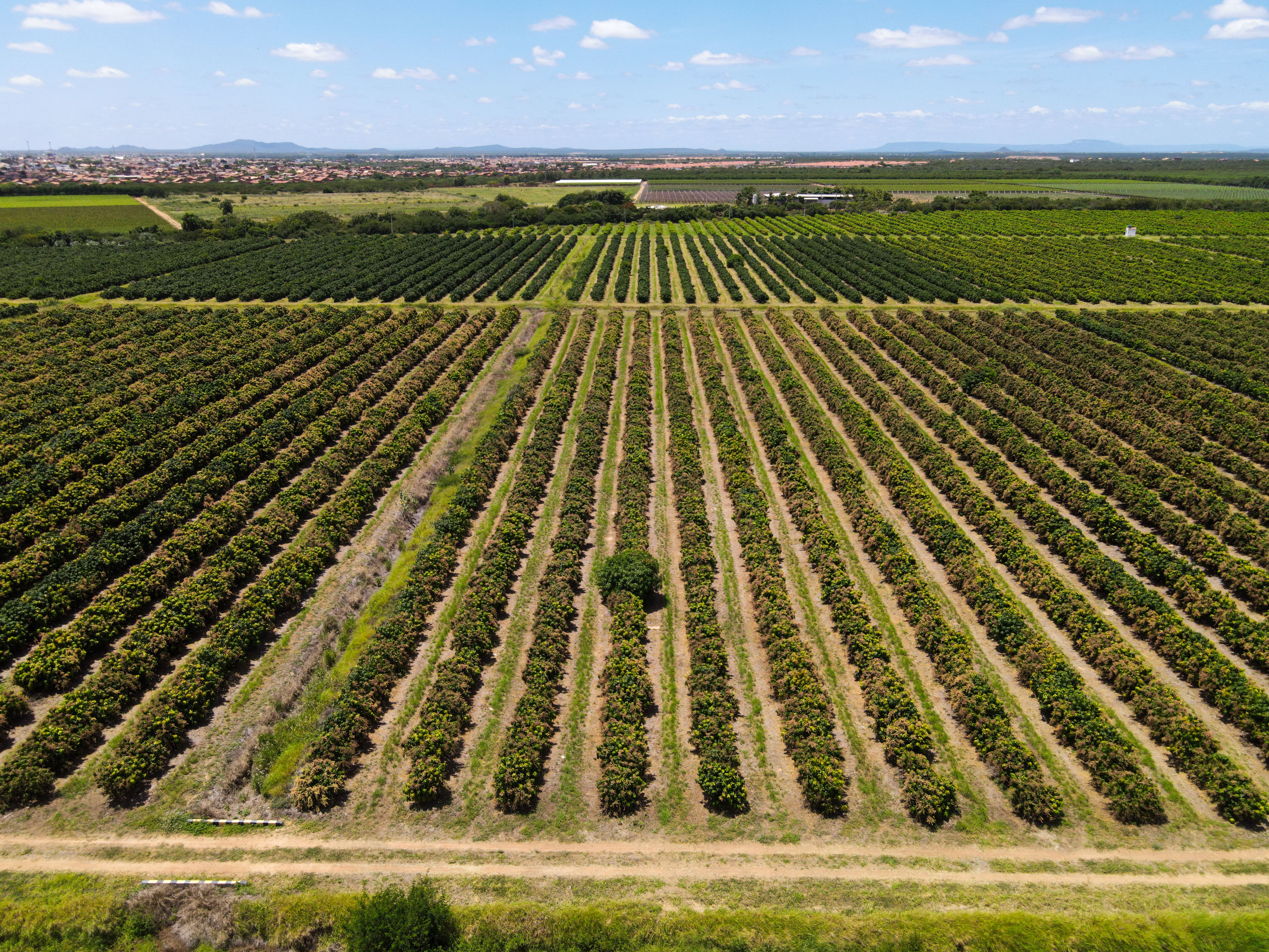 dji_fly_20250219_110250_949_1739988414100_photo